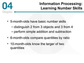 Information Processing: 
Learning Number Skills 
• 5-month-olds have basic number skills 
– distinguish 2 from 3 objects and 3 from 4 
– perform simple addition and subtraction 
• 6-month-olds compare quantities by ratio 
• 10-month-olds know the larger of two 
quantities 
 