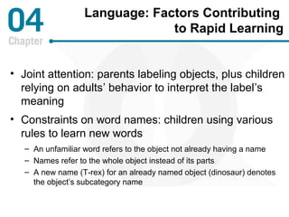 Language: Factors Contributing 
to Rapid Learning 
• Joint attention: parents labeling objects, plus children 
relying on adults’ behavior to interpret the label’s 
meaning 
• Constraints on word names: children using various 
rules to learn new words 
– An unfamiliar word refers to the object not already having a name 
– Names refer to the whole object instead of its parts 
– A new name (T-rex) for an already named object (dinosaur) denotes 
the object’s subcategory name 
 