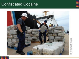 Confiscated Cocaine
 