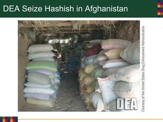 DEA Seize Hashish in Afghanistan
 