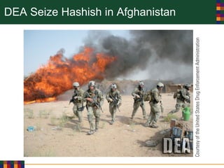 DEA Seize Hashish in Afghanistan
 