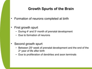 Growth Spurts of the Brain
• Formation of neurons completed at birth
• First growth spurt
– During 4th
and 5th
month of prenatal development
– Due to formation of neurons
• Second growth spurt
– Between 25th
week of prenatal development and the end of the
2nd
year of life after birth
– Due to proliferation of dendrites and axon terminals
 