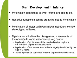 Brain Development in Infancy
• Myelination contributes to what infants are able to do.
• Reflexive functions such as breathing due to myelination
• Myelination of motor pathways allows neonates to show
stereotyped reflexes.
• Myelination will allow the disorganized movements of
the neonate to come under increasing control.
– Myelination of motor area of the cerebral cortex begins at
the 4th
month of prenatal development.
– Myelination of the nerves to muscles is largely developed by the
age of 2 years.
– Some myelination continues to some degree into adolescence.
 