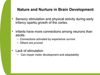 Nature and Nurture in Brain Development
• Sensory stimulation and physical activity during early
infancy sparks growth of the cortex.
• Infants have more connections among neurons than
adults.
– Connections activated by experience survive
– Others are pruned
• Lack of stimulation
– Can impair motor development and adaptability
 