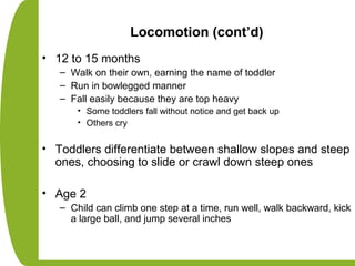 Locomotion (cont’d)
• 12 to 15 months
– Walk on their own, earning the name of toddler
– Run in bowlegged manner
– Fall easily because they are top heavy
• Some toddlers fall without notice and get back up
• Others cry
• Toddlers differentiate between shallow slopes and steep
ones, choosing to slide or crawl down steep ones
• Age 2
– Child can climb one step at a time, run well, walk backward, kick
a large ball, and jump several inches
 