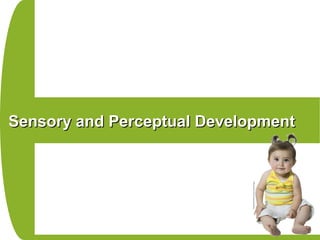 Sensory and Perceptual DevelopmentSensory and Perceptual Development
 