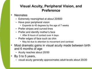 Visual Acuity, Peripheral Vision, and
Preference
• Neonates
– Extremely nearsighted at about 20/600
– Have poor peripheral vision
• Expands to 45 degrees by the age of 7 weeks
– Prefer stripes and curved lines
– Prefer and identify mother’s face
• After 8 hours of contact over 4 days
– Prefer edges of face such as chin
• May be due to attention to movement and contrast
• Most dramatic gains in visual acuity made between birth
and 6 months of age
– Acuity reaches about 20/50
• By 3 to 5 years,
– visual acuity generally approximates adult levels about 20/20
 