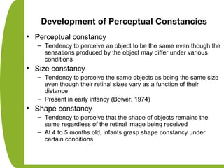 Development of Perceptual Constancies
• Perceptual constancy
– Tendency to perceive an object to be the same even though the
sensations produced by the object may differ under various
conditions
• Size constancy
– Tendency to perceive the same objects as being the same size
even though their retinal sizes vary as a function of their
distance
– Present in early infancy (Bower, 1974)
• Shape constancy
– Tendency to perceive that the shape of objects remains the
same regardless of the retinal image being received
– At 4 to 5 months old, infants grasp shape constancy under
certain conditions.
 