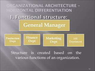Structure is created based on the
various functions of an organization.
12
ORGANIZATIONAL ARCHITECTURE –
HORIZONTAL DIFFERENTIATION
 