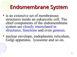 Endomembrane System.drawing Chapter 4-1 Endomembrane system anatomy | PPT