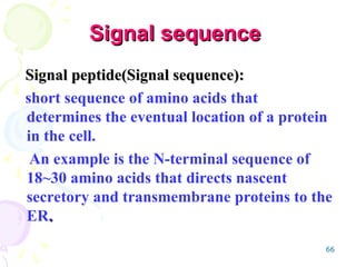 Signalling Sequence Chapter 4-1 Endomembrane system anatomy | PPT