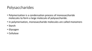 Polysaccharides
• Polymerisation is a condensation process of monosaccharide
molecules to form a large molecule of polysaccharide.
• In polymerisation, monosaccharide molecules are called monomers
• Starch
• Glycogen
• Cellulose
 