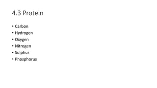 4.3 Protein
• Carbon
• Hydrogen
• Oxygen
• Nitrogen
• Sulphur
• Phosphorus
 