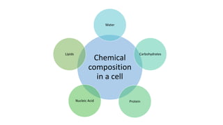 Chemical
composition
in a cell
Water
Carbohydrates
ProteinNucleic Acid
Lipids
 