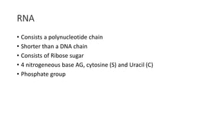 RNA
• Consists a polynucleotide chain
• Shorter than a DNA chain
• Consists of Ribose sugar
• 4 nitrogeneous base AG, cytosine (S) and Uracil (C)
• Phosphate group
 
