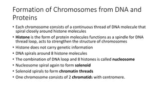 Formation of Chromosomes from DNA and
Proteins
• Each chromosome consists of a continuous thread of DNA molecule that
spiral closely around histone molecules
• Histone is the form of protein molecules functions as a spindle for DNA
thread loop, acts to strengthen the structure of chromosomes
• Histone does not carry genetic information
• DNA spirals around 8 histone molecules
• The combination of DNA loop and 8 histones is called nucleosome
• Nucleosome spiral again to form solenoid
• Solenoid spirals to form chromatin threads
• One chromosome consists of 2 chromatids with centromere.
 