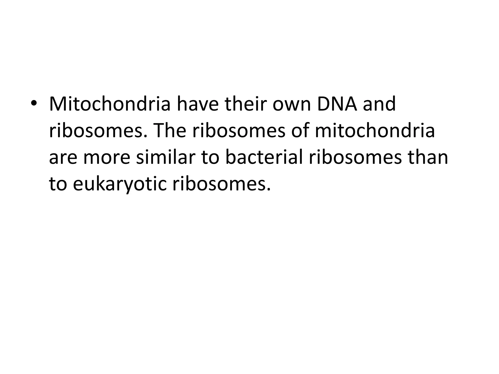 • Mitochondria have their own DNA and
ribosomes. The ribosomes of mitochondria
are more similar to bacterial ribosomes than
to eukaryotic ribosomes.
 
