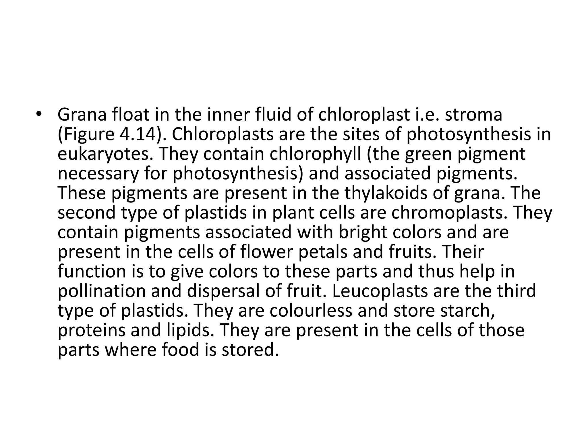 • Grana float in the inner fluid of chloroplast i.e. stroma
(Figure 4.14). Chloroplasts are the sites of photosynthesis in
eukaryotes. They contain chlorophyll (the green pigment
necessary for photosynthesis) and associated pigments.
These pigments are present in the thylakoids of grana. The
second type of plastids in plant cells are chromoplasts. They
contain pigments associated with bright colors and are
present in the cells of flower petals and fruits. Their
function is to give colors to these parts and thus help in
pollination and dispersal of fruit. Leucoplasts are the third
type of plastids. They are colourless and store starch,
proteins and lipids. They are present in the cells of those
parts where food is stored.
 