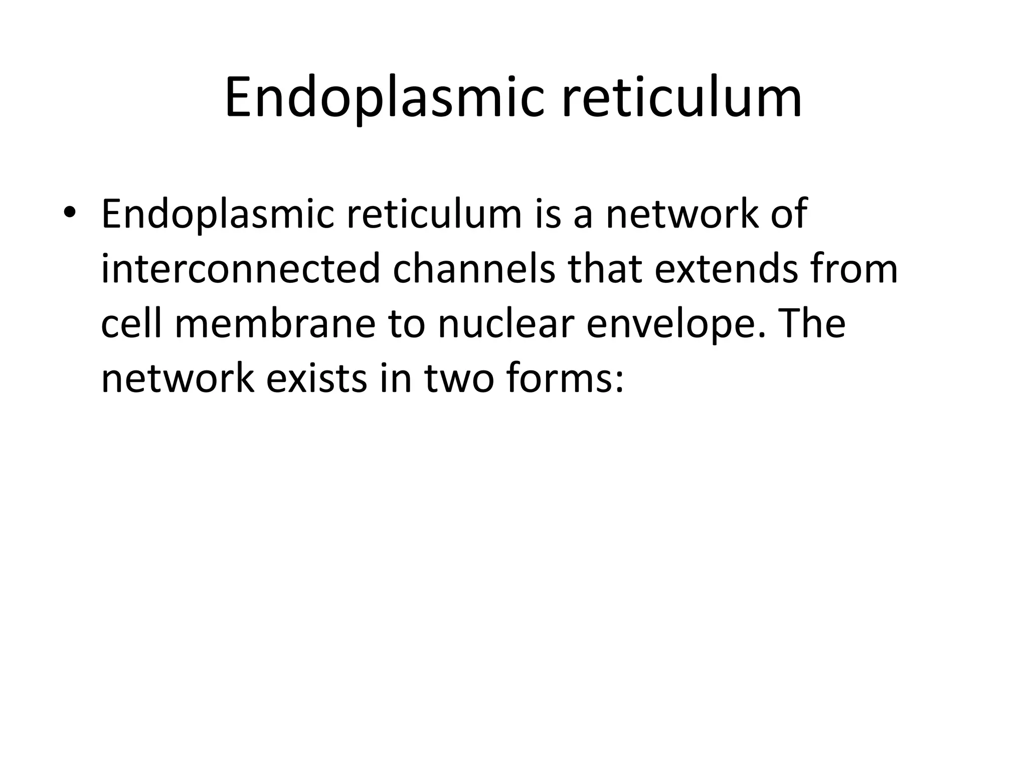 Endoplasmic reticulum
• Endoplasmic reticulum is a network of
interconnected channels that extends from
cell membrane to nuclear envelope. The
network exists in two forms:
 