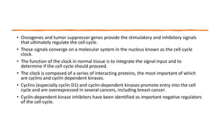 • Oncogenes and tumor suppressor genes provide the stimulatory and inhibitory signals
that ultimately regulate the cell cycle.
• These signals converge on a molecular system in the nucleus known as the cell-cycle
clock.
• The function of the clock in normal tissue is to integrate the signal input and to
determine if the cell cycle should proceed.
• The clock is composed of a series of interacting proteins, the most important of which
are cyclins and cyclin dependent kinases.
• Cyclins (especially cyclin D1) and cyclin-dependent kinases promote entry into the cell
cycle and are overexpressed in several cancers, including breast cancer.
• Cyclin-dependent kinase inhibitors have been identified as important negative regulators
of the cell cycle.
 