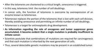 • After the telomeres are shortened to a critical length, senescence is triggered.
• In this way, telomeres limit the number of cell doublings.
• In cancer cells, the function of telomeres is overcome by overexpression of an
enzyme known as telomerase.
• Telomerase replaces the portion of the telomeres that is lost with each cell division,
thereby avoiding senescence and permitting an infinite number of cell doublings.
• Telomerase is a target for antineoplastic drug development.
• As information regarding the role of oncogenes and tumor suppressor genes
accumulated, it became evident that a single mutation is probably insufficient to
initiate cancer.
• Scientists postulate that combinations of mutations are required for carcinogenesis
and that each mutation is inherited by the next generation of cells.
• Thus, several detectable genetic mutations may be present in an established tumor.
 