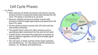 Cell Cycle Phases
• G0 Phase
• Most cells do not divide constantly and spend a varying
amount of time in quiescent (calm) state outside the cell
cycle. This phase is termed as G0 (G zero).
• Neurons, skeletal muscle and cardiac muscle cells
increase in bulk through hypertrophy and spend their life
time in G0 state.
• On the contrary, bone marrow cells, GIT cells and skin
cells divide constantly.
• The growth factor action (or other stimulus such as
wound) provides momentum for the start of cell cycle
• Growth factors stimulate the production of positive as
well as negative regulators of cell cycle through signal
transduction.
• The cell cycle, in itself, consists of two major activities:
the interphase (G1 →S →G₂ phase) and the cell division
(mitosis, i.e., M-phase and cytokinesis)...
 