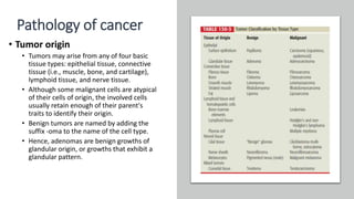 Pathology of cancer
• Tumor origin
• Tumors may arise from any of four basic
tissue types: epithelial tissue, connective
tissue (i.e., muscle, bone, and cartilage),
lymphoid tissue, and nerve tissue.
• Although some malignant cells are atypical
of their cells of origin, the involved cells
usually retain enough of their parent's
traits to identify their origin.
• Benign tumors are named by adding the
suffix -oma to the name of the cell type.
• Hence, adenomas are benign growths of
glandular origin, or growths that exhibit a
glandular pattern.
 