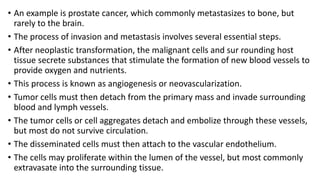 • An example is prostate cancer, which commonly metastasizes to bone, but
rarely to the brain.
• The process of invasion and metastasis involves several essential steps.
• After neoplastic transformation, the malignant cells and sur rounding host
tissue secrete substances that stimulate the formation of new blood vessels to
provide oxygen and nutrients.
• This process is known as angiogenesis or neovascularization.
• Tumor cells must then detach from the primary mass and invade surrounding
blood and lymph vessels.
• The tumor cells or cell aggregates detach and embolize through these vessels,
but most do not survive circulation.
• The disseminated cells must then attach to the vascular endothelium.
• The cells may proliferate within the lumen of the vessel, but most commonly
extravasate into the surrounding tissue.
 