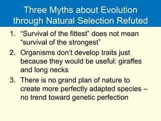 Three Myths about Evolution
through Natural Selection Refuted
1. “Survival of the fittest” does not mean
“survival of the strongest”
2. Organisms don’t develop traits just
because they would be useful: giraffes
and long necks
3. There is no grand plan of nature to
create more perfectly adapted species –
no trend toward genetic perfection
 