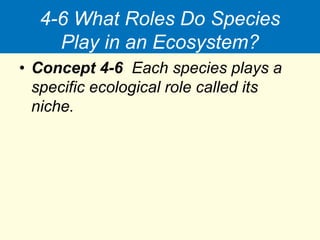4-6 What Roles Do Species
Play in an Ecosystem?
• Concept 4-6 Each species plays a
specific ecological role called its
niche.
 