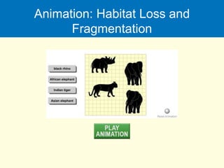 Animation: Habitat Loss and
Fragmentation
 