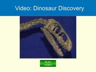 Video: Dinosaur Discovery
PLAY
VIDEO
 
