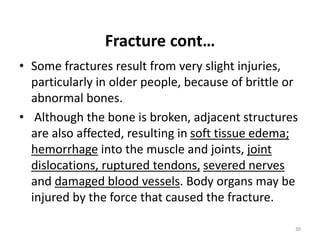 Fracture cont…
• Some fractures result from very slight injuries,
particularly in older people, because of brittle or
abnormal bones.
• Although the bone is broken, adjacent structures
are also affected, resulting in soft tissue edema;
hemorrhage into the muscle and joints, joint
dislocations, ruptured tendons, severed nerves
and damaged blood vessels. Body organs may be
injured by the force that caused the fracture.
30
 