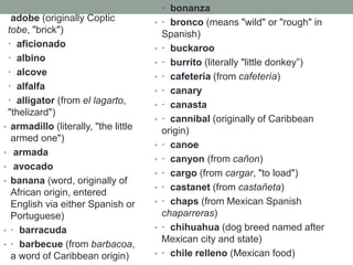 adobe (originally Coptic
tobe, "brick")
· aficionado
· albino
· alcove
· alfalfa
· alligator (from el lagarto,
"thelizard")
• armadillo (literally, "the little
armed one")
• armada
• avocado
• banana (word, originally of
African origin, entered
English via either Spanish or
Portuguese)
• · barracuda
• · barbecue (from barbacoa,
a word of Caribbean origin)
• · bonanza
• · bronco (means "wild" or "rough" in
Spanish)
• · buckaroo
• · burrito (literally "little donkey”)
• · cafeteria (from cafetería)
• · canary
• · canasta
• · cannibal (originally of Caribbean
origin)
• · canoe
• · canyon (from cañon)
• · cargo (from cargar, "to load")
• · castanet (from castañeta)
• · chaps (from Mexican Spanish
chaparreras)
• · chihuahua (dog breed named after
Mexican city and state)
• · chile relleno (Mexican food)
 