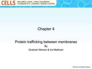 Chapter 4
Protein trafficking between membranes
By
Graham Warren & Ira Mellman
 