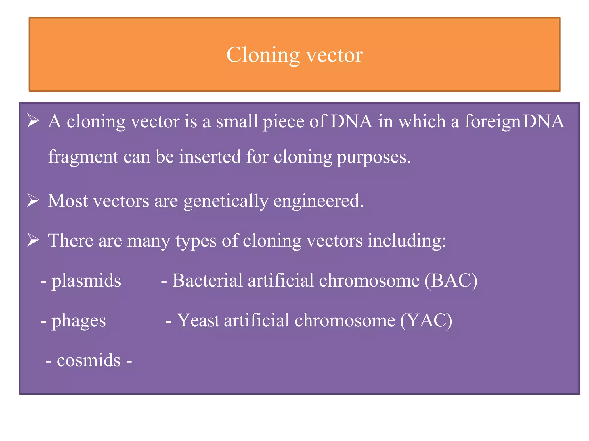 Cloning vector
 A cloning vector is a small piece of DNA in which a foreignDNA
fragment can be inserted for cloning purposes.
 Most vectors are genetically engineered.
 There are many types of cloning vectors including:
- plasmids - Bacterial artificial chromosome (BAC)
- phages - Yeast artificial chromosome (YAC)
- cosmids -
 