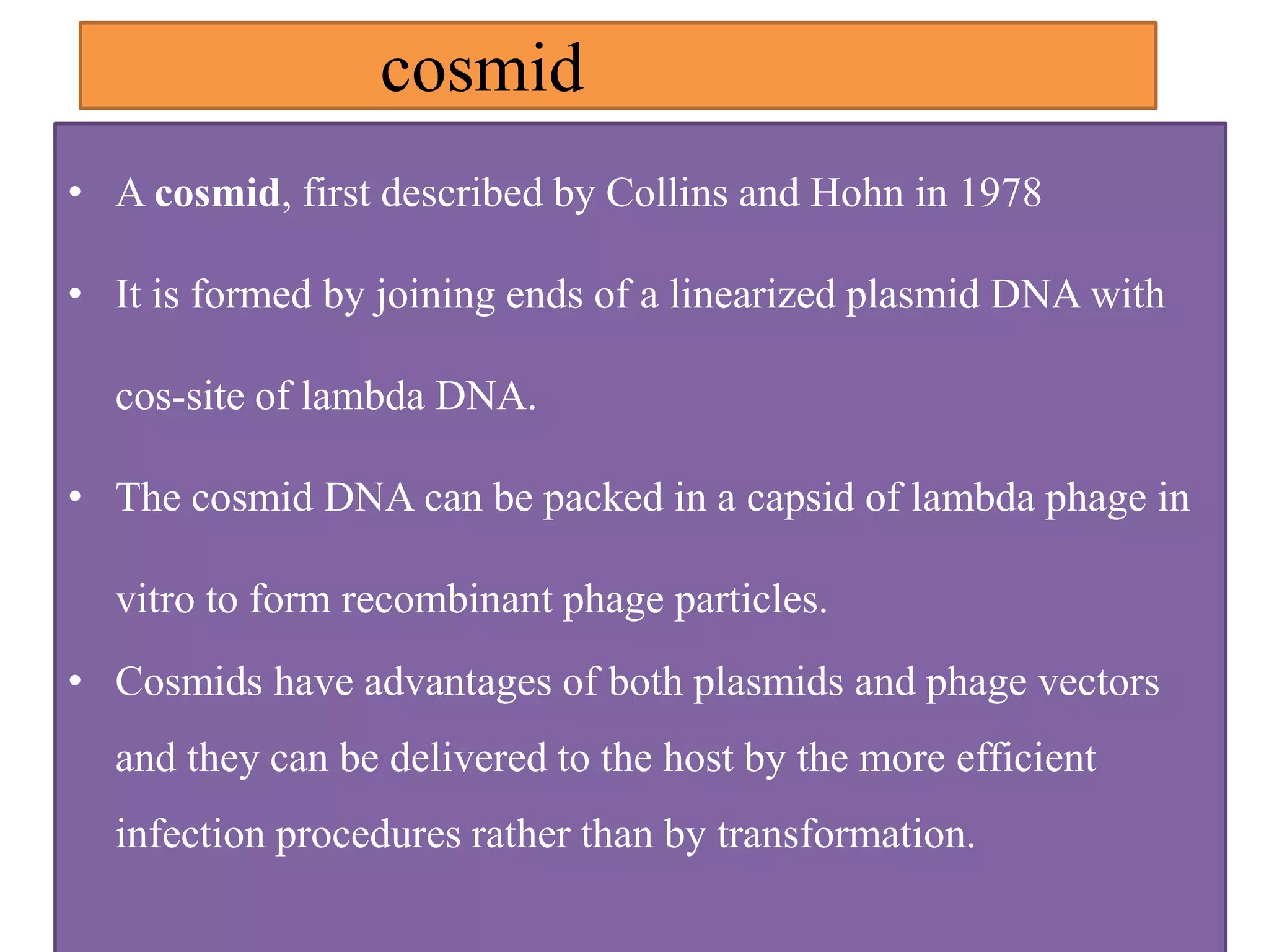 cosmid
• A cosmid, first described by Collins and Hohn in 1978
• It is formed by joining ends of a linearized plasmid DNA with
cos-site of lambda DNA.
• The cosmid DNA can be packed in a capsid of lambda phage in
vitro to form recombinant phage particles.
• Cosmids have advantages of both plasmids and phage vectors
and they can be delivered to the host by the more efficient
infection procedures rather than by transformation.
 