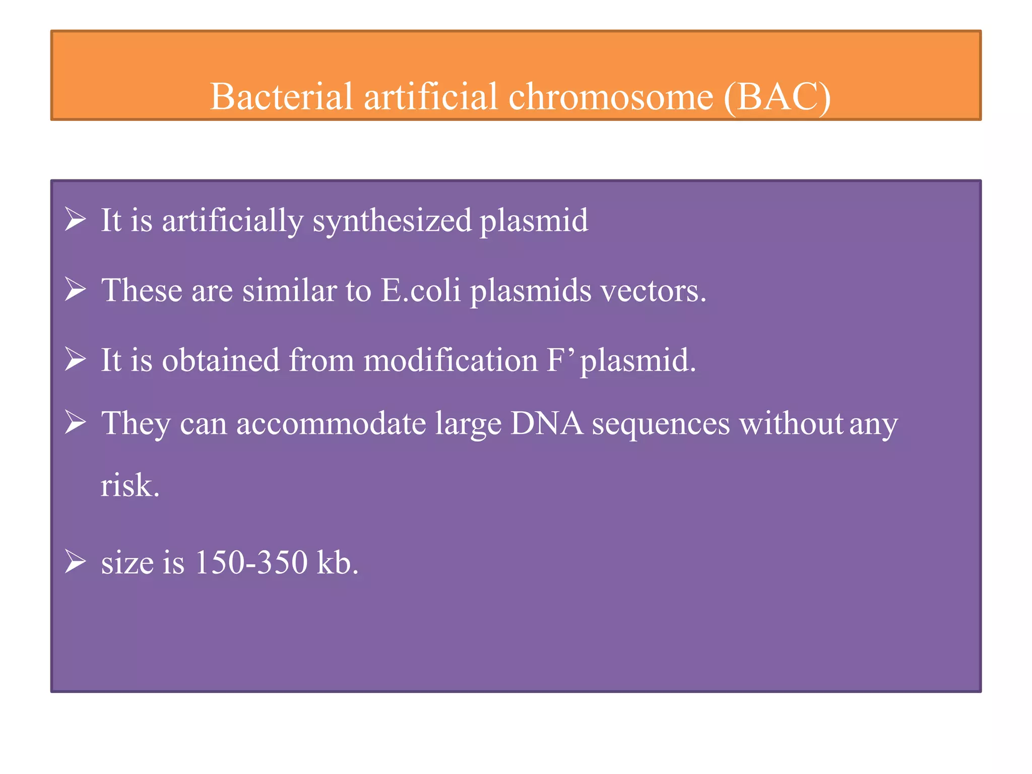 Bacterial artificial chromosome (BAC)
 It is artificially synthesized plasmid
 These are similar to E.coli plasmids vectors.
 It is obtained from modification F’plasmid.
 They can accommodate large DNA sequences withoutany
risk.
 size is 150-350 kb.
 