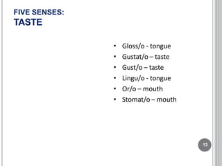 FIVE SENSES:
TASTE
13
• Gloss/o - tongue
• Gustat/o – taste
• Gust/o – taste
• Lingu/o - tongue
• Or/o – mouth
• Stomat/o – mouth
 