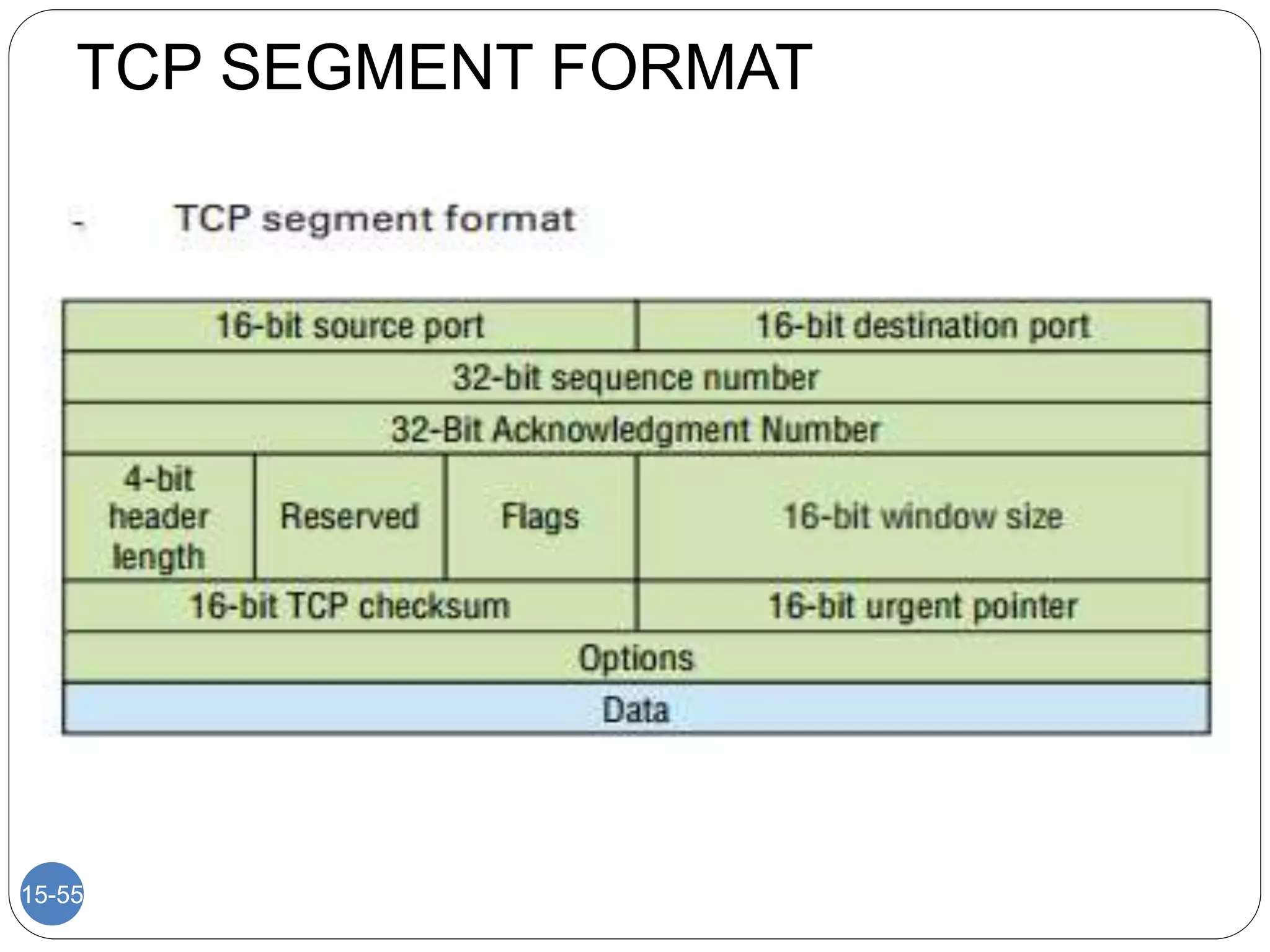TCP SEGMENT FORMAT
15-55
 