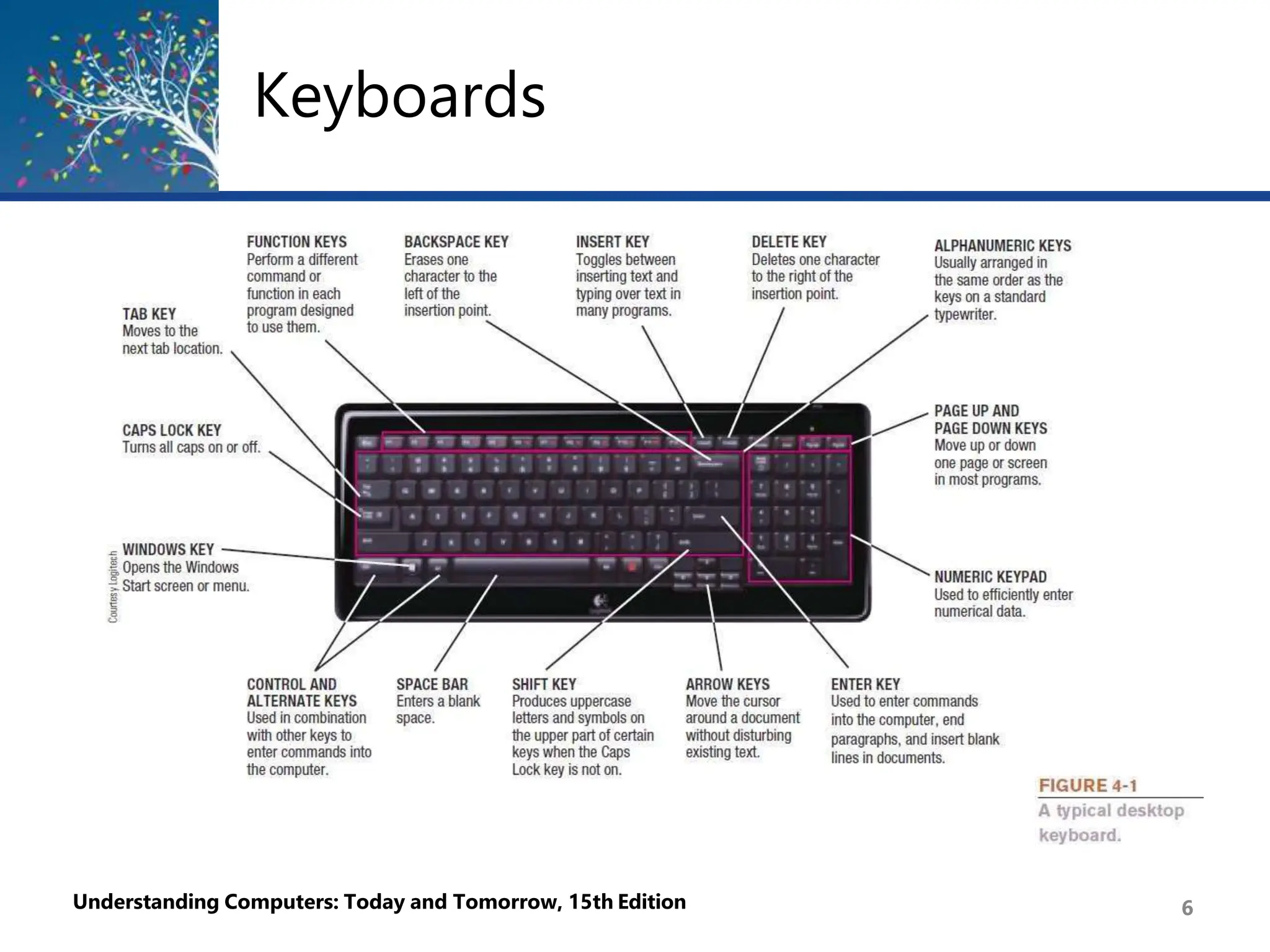 Keyboards
Understanding Computers: Today and Tomorrow, 15th Edition 6
 