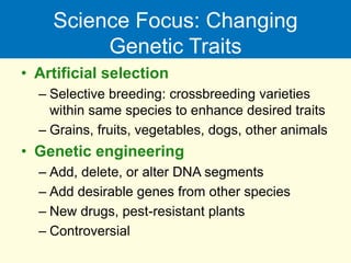 Science Focus: Changing
Genetic Traits
• Artificial selection
– Selective breeding: crossbreeding varieties
within same species to enhance desired traits
– Grains, fruits, vegetables, dogs, other animals
• Genetic engineering
– Add, delete, or alter DNA segments
– Add desirable genes from other species
– New drugs, pest-resistant plants
– Controversial
 