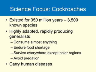 Science Focus: Cockroaches
• Existed for 350 million years – 3,500
known species
• Highly adapted, rapidly producing
generalists
– Consume almost anything
– Endure food shortage
– Survive everywhere except polar regions
– Avoid predation
• Carry human diseases
 