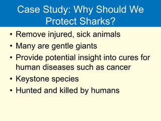Case Study: Why Should We
Protect Sharks?
• Remove injured, sick animals
• Many are gentle giants
• Provide potential insight into cures for
human diseases such as cancer
• Keystone species
• Hunted and killed by humans
 