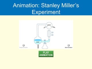 Animation: Stanley Miller’s
Experiment
 