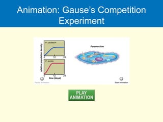 Animation: Gause’s Competition
Experiment
 