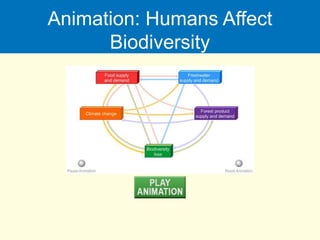 Animation: Humans Affect
Biodiversity
 