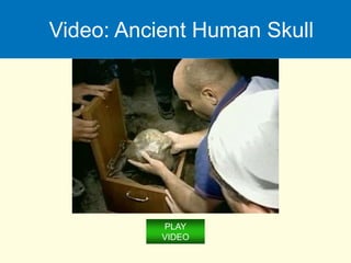 Video: Ancient Human Skull
PLAY
VIDEO
 