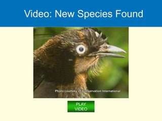 Video: New Species Found
PLAY
VIDEO
 