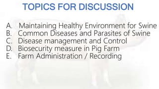 Swine Health Management- Learn how to manage the health of your pigs | PPTX